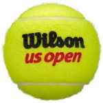 wilson us open tennis balls (1)