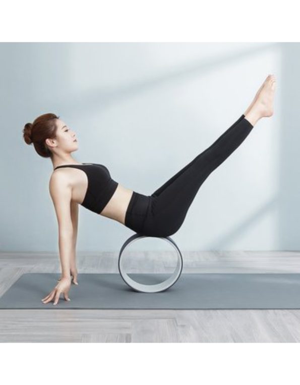 yoga wheel (1)